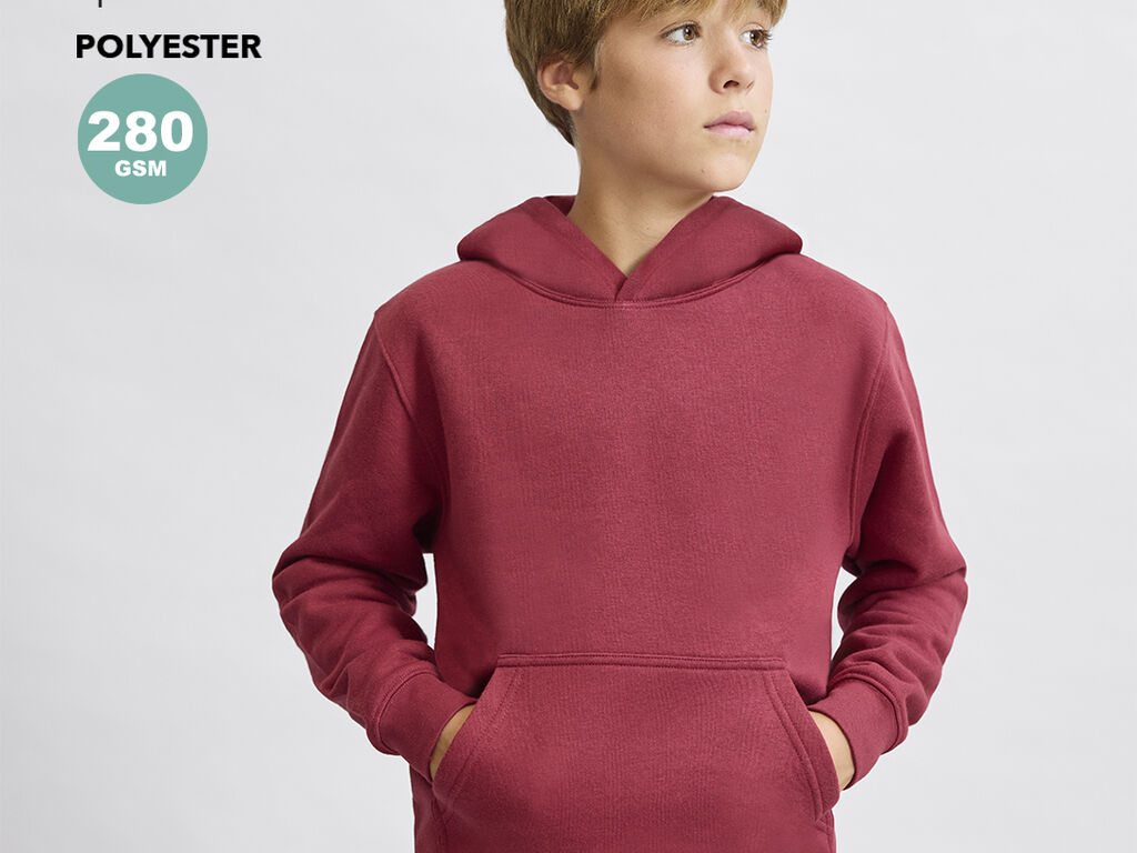 Sudadera Niño Draco